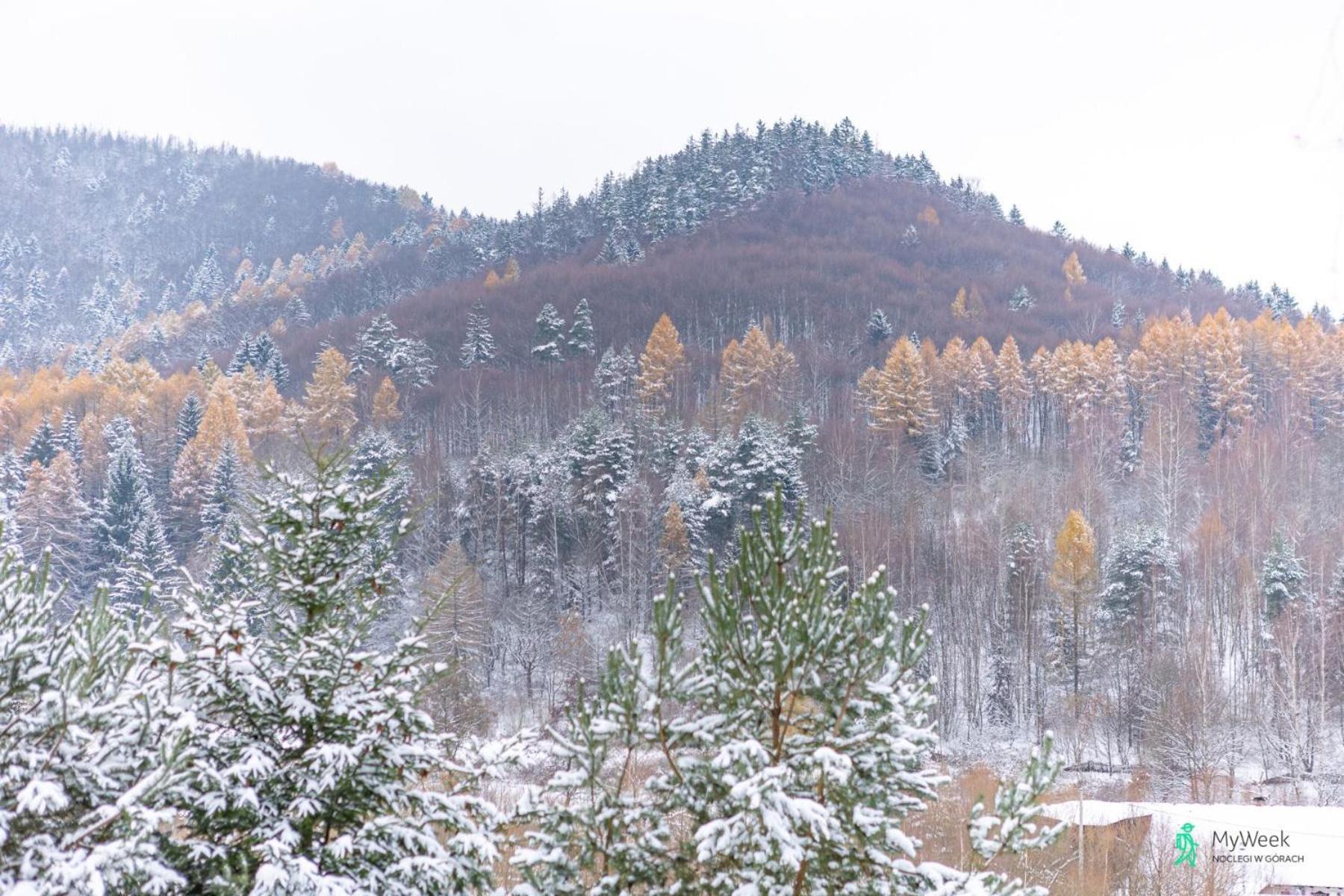 Holiday home Dom W Gorach Stolowych Myweek Wambierzyce